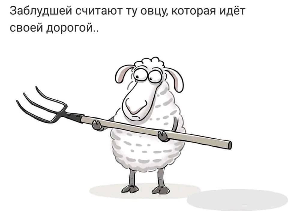 Знать свой Дизайн человека это действительно большая привилегия и великий шанс, почувствовать ЖИЗНЬ!